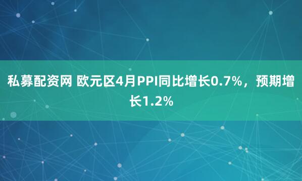 私募配资网 欧元区4月PPI同比增长0.7%，预期增长1.2%